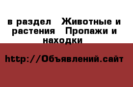  в раздел : Животные и растения » Пропажи и находки 